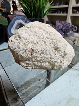 Clear Quartz Geode crystal on a table with a plant.

CHIQUE Rock Shop