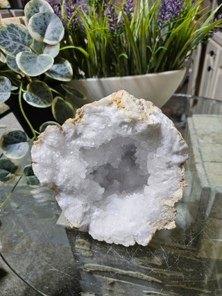 Crystal Clear Quartz Geode on a glass table with plants in the background

CHIQUE Rock Shop