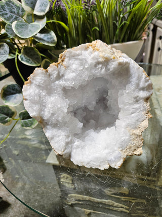 Crystal Clear Quartz Geode on a glass table with plants in the background

CHIQUE Rock Shop