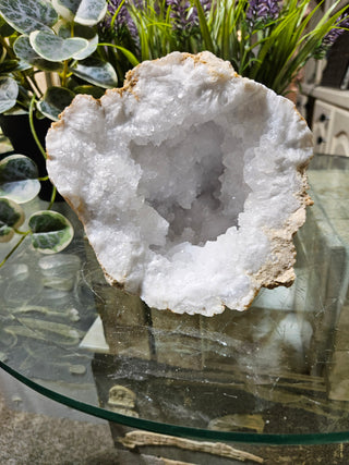 Crystal Clear Quartz Geode on a glass table with plants in the background

CHIQUE Rock Shop