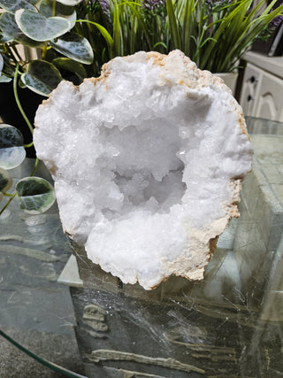 Crystal Clear Quartz Geode on a glass table with plants in the background

CHIQUE Rock Shop