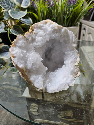 Crystal Clear Quartz Geode on a glass table with plants in the background

CHIQUE Rock Shop