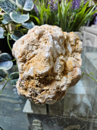 Crystal Clear Quartz Geode on a glass table with plants in the background

CHIQUE Rock Shop