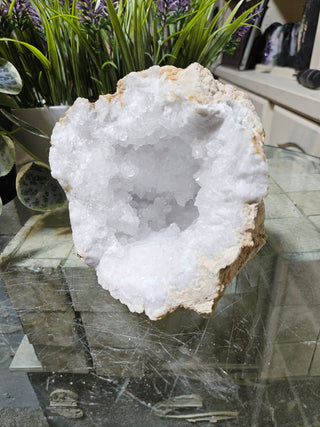 Crystal Clear Quartz Geode on a glass table with plants in the background

CHIQUE Rock Shop