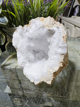 Crystal Clear Quartz Geode on a glass table with plants in the background

CHIQUE Rock Shop