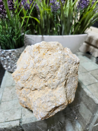 CLEAR QUARTZ GEODE

CHIQUE Rock Shop