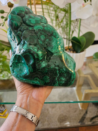 Freeform Malachite

CHIQUE Rock Shop