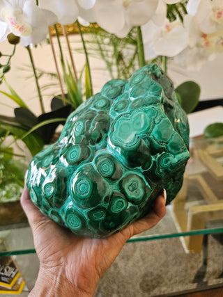 Freeform Malachite

CHIQUE Rock Shop