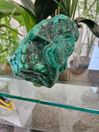 Freeform Malachite

CHIQUE Rock Shop