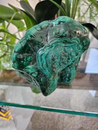 Freeform Malachite

CHIQUE Rock Shop