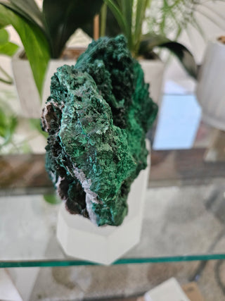 Malachite Specimen on Clear Stand

CHIQUE Rock Shop