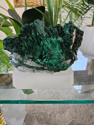 Malachite Specimen on Clear Stand

CHIQUE Rock Shop