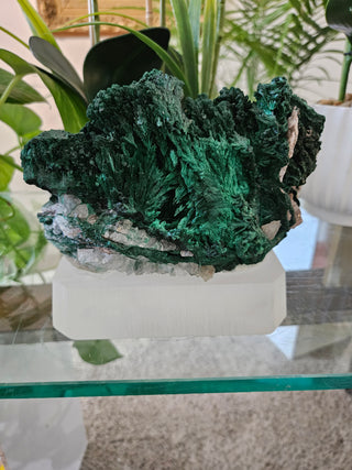 Malachite Specimen on Clear Stand

CHIQUE Rock Shop