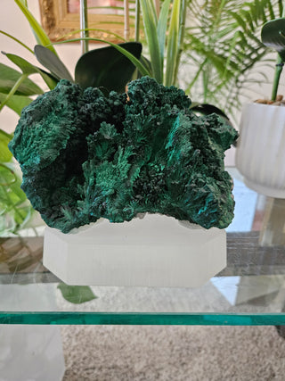 Malachite Specimen on Clear Stand

CHIQUE Rock Shop