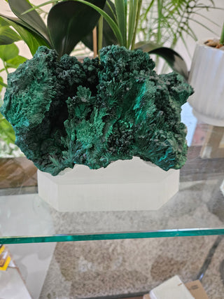 Malachite Specimen on Clear Stand

CHIQUE Rock Shop