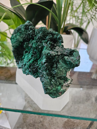 Malachite Specimen on Clear Stand

CHIQUE Rock Shop