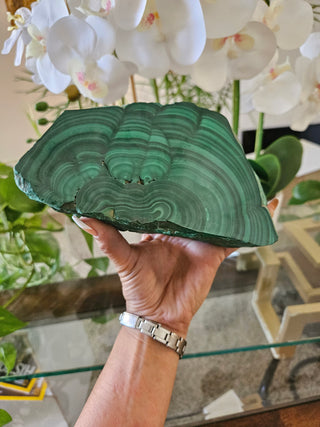 Malachite Slab

CHIQUE Rock Shop