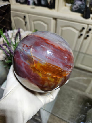 Petrified Wood Sphere held by a gloved hand.

CHIQUE Rock Shop