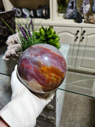 Petrified Wood Sphere held by a gloved hand.

CHIQUE Rock Shop