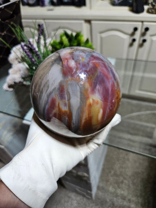 Petrified Wood Sphere held by a gloved hand.

CHIQUE Rock Shop