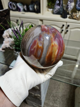 Petrified Wood Sphere held by a gloved hand.

CHIQUE Rock Shop