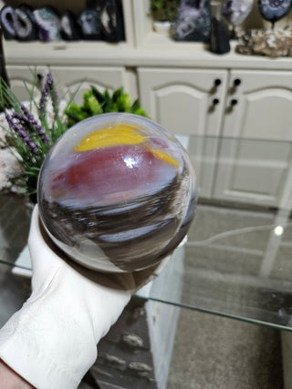 Petrified Wood Sphere held by a gloved hand.

CHIQUE Rock Shop