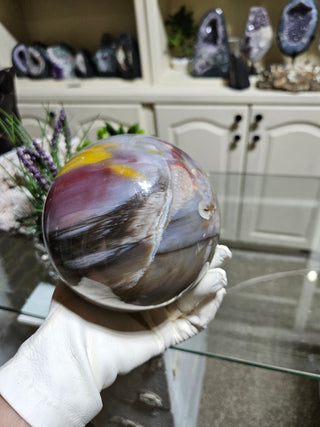 Petrified Wood Sphere held by a gloved hand.

CHIQUE Rock Shop