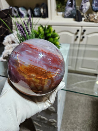 Petrified Wood Sphere held by a gloved hand.

CHIQUE Rock Shop
