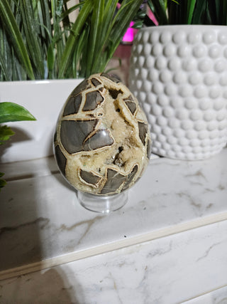 Septarian Egg

CHIQUE Rock Shop