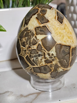 Septarian Egg

CHIQUE Rock Shop