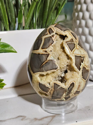 Septarian Egg

CHIQUE Rock Shop