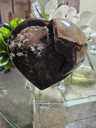 Septarian Heart

CHIQUE Rock Shop
