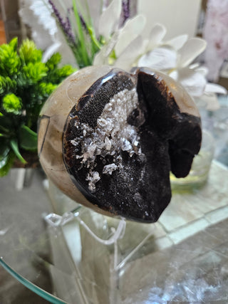 Septarian Heart

CHIQUE Rock Shop