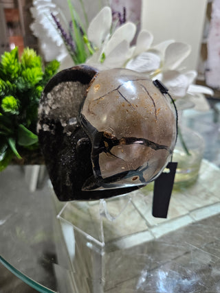 Septarian Heart

CHIQUE Rock Shop