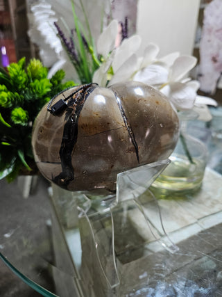 Septarian Heart

CHIQUE Rock Shop