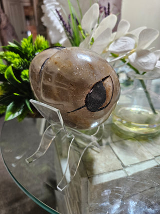Septarian Heart

CHIQUE Rock Shop