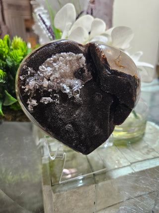 Septarian Heart

CHIQUE Rock Shop