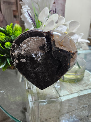 Septarian Heart

CHIQUE Rock Shop