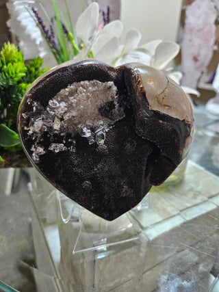 Septarian Heart

CHIQUE Rock Shop