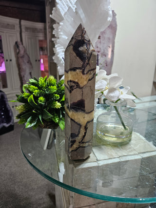 Septarian Obelisk, Point

CHIQUE Rock Shop