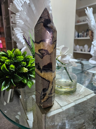 Septarian Obelisk, Point

CHIQUE Rock Shop
