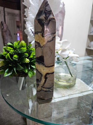 Septarian Obelisk, Point

CHIQUE Rock Shop