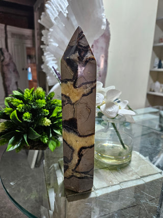 Septarian Obelisk, Point

CHIQUE Rock Shop
