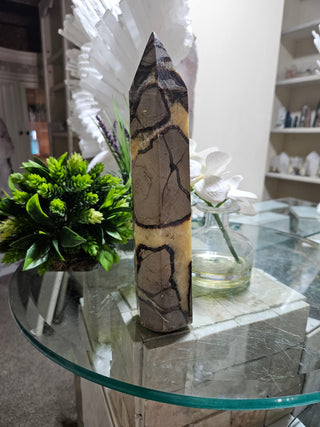 Septarian Obelisk, Point

CHIQUE Rock Shop