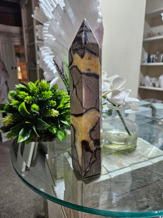 Septarian Obelisk, Point

CHIQUE Rock Shop