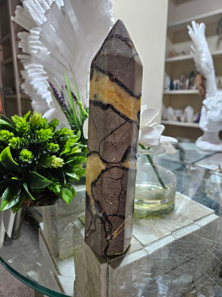 Septarian Obelisk, Point

CHIQUE Rock Shop
