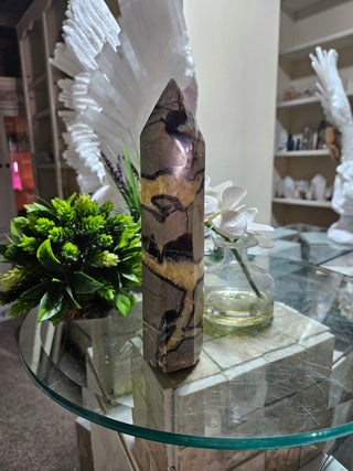 Septarian Obelisk, Point

CHIQUE Rock Shop