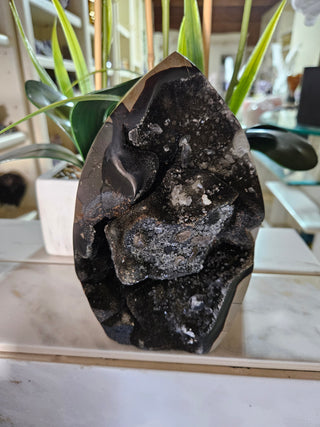 Decorative Septarian Dragon Stone sculpture on a plant with a marble wall background

CHIQUE Rock Shop 
