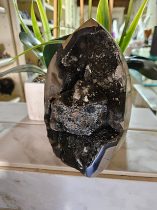 Decorative Septarian Dragon Stone sculpture on a plant with a marble wall background

CHIQUE Rock Shop 
