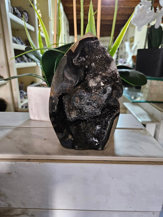 Decorative Septarian Dragon Stone sculpture on a plant with a marble wall background

CHIQUE Rock Shop
